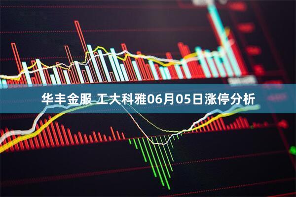 华丰金服 工大科雅06月05日涨停分析
