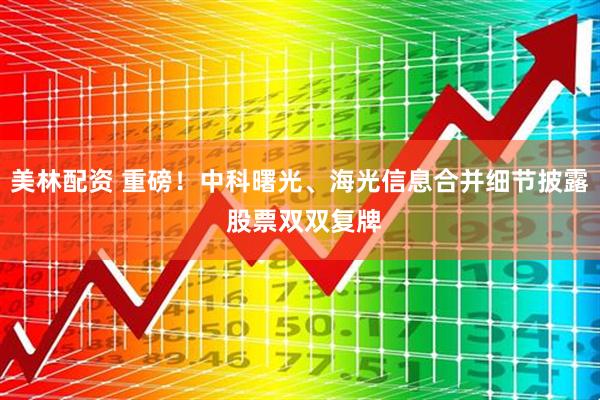 美林配资 重磅！中科曙光、海光信息合并细节披露 股票双双复牌
