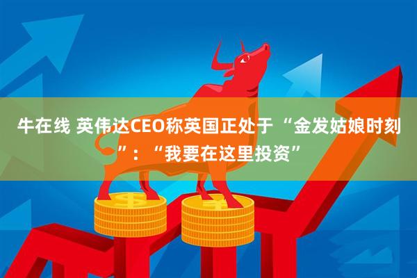 牛在线 英伟达CEO称英国正处于 “金发姑娘时刻”：“我要在这里投资”