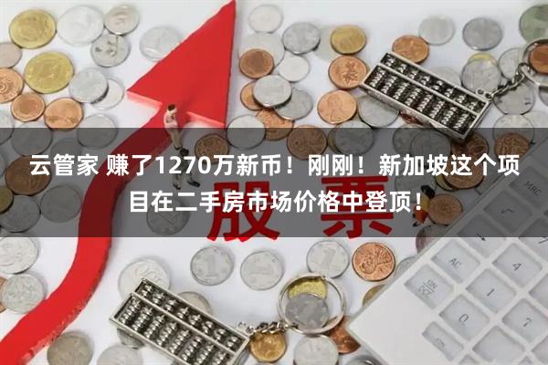 云管家 赚了1270万新币！刚刚！新加坡这个项目在二手房市场价格中登顶！