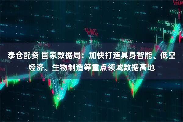 泰仓配资 国家数据局：加快打造具身智能、低空经济、生物制造等重点领域数据高地