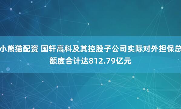 小熊猫配资 国轩高科及其控股子公司实际对外担保总额度合计达812.79亿元