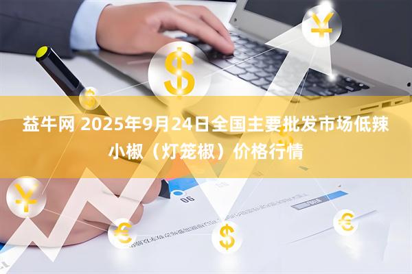 益牛网 2025年9月24日全国主要批发市场低辣小椒（灯笼椒）价格行情