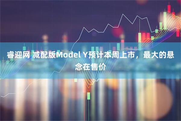 睿迎网 减配版Model Y预计本周上市,最大的悬念在售价