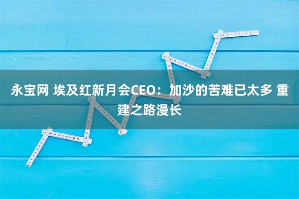 永宝网 埃及红新月会CEO：加沙的苦难已太多 重建之路漫长