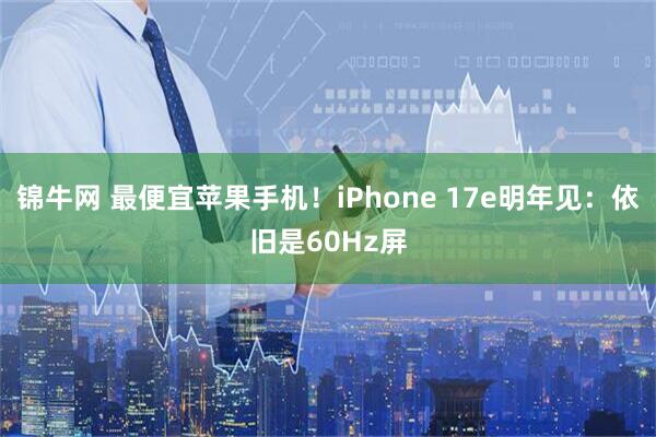 锦牛网 最便宜苹果手机！iPhone 17e明年见：依旧是60Hz屏
