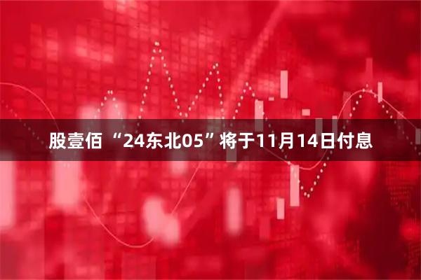 股壹佰 “24东北05”将于11月14日付息