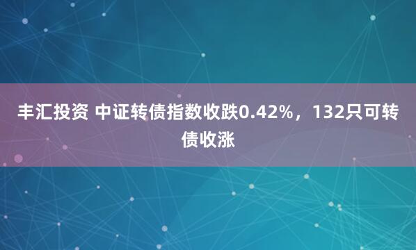 丰汇投资 中证转债指数收跌0.42%,132只可转债收涨